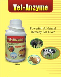 Vet Anzyme