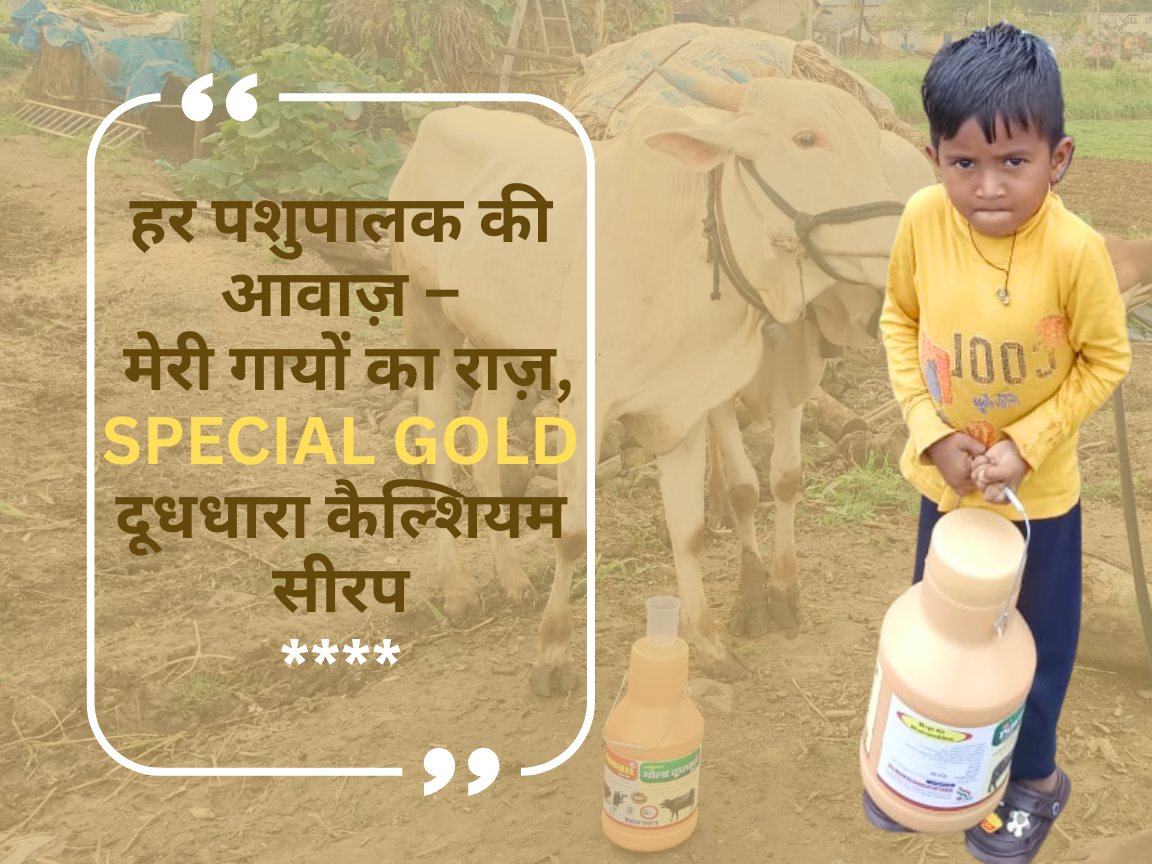 अभी ऑर्डर करें