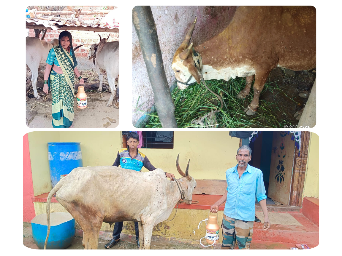 15 जुलाई, 2025 बेलगांव में उत्पादों का प्रचार-प्रसार 1/3